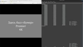 Чем отличается подписка Prime от Okko в Vans