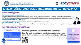 Что делать при получении уведомления в Vans