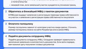 Что можно сделать через МФЦ в Vans