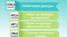Что относится к доходам бюджета в Vans