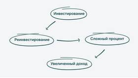 Что такое диверсификация доходов в Vans