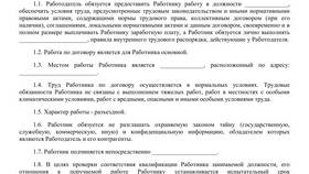 Характер трудового договора в Vans