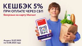 Как оплачивать покупки через приложение Магнит в Vans