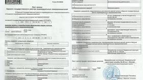Как подать заявление на регистрацию ИП через МФЦ в Vans