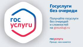 Как получить доступ к Госуслугам в Vans