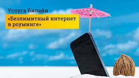 Как проверить баланс на Билайн безлимит в Vans
