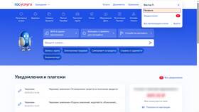 Как узнать количество оформленных SIM-карт через Госуслуги в Vans