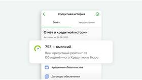 Как узнать сумму займов в Vans
