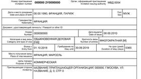 Как выглядит рабочая виза