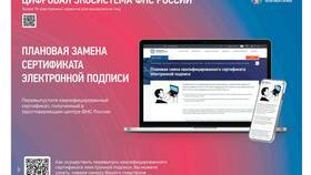 Налоговый арест: как проверить в Vans