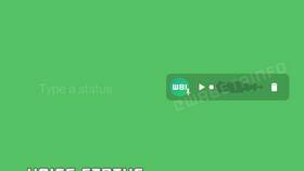 Почему невозможно отправить голосовое сообщение в WhatsApp в Vans