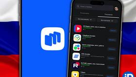 Почему в App Store нет Wildberries: причины отсутствия приложения в Vans