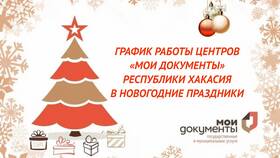 Режим работы МФЦ в июньские праздники в Vans