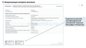 Сроки получения выписки из ЕГРН в Vans