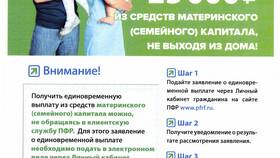 Выписка из ПФР для ипотеки: что это в Vans